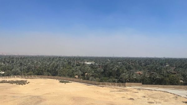 ▲ 사카라 언덕 위에서 바라본 풍경. 저 멀리 나일강 주변의 팜나무 숲이 끝없이 펼쳐져 사막과 강의 경계가 한눈에 드러난다 / 사진: 한민광 제공