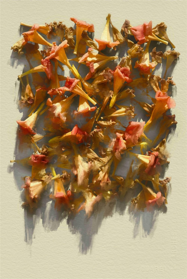 ▲ 한운성, 아이패드 드로잉, 2022-2024 / 사진: 서울시립미술관 제공&nbsp;