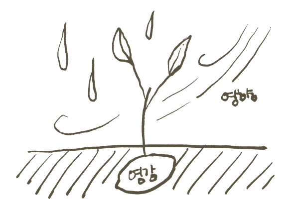 ▲ 영감은 뿌리라면 영향은 환경이다 / 그림: 권선미