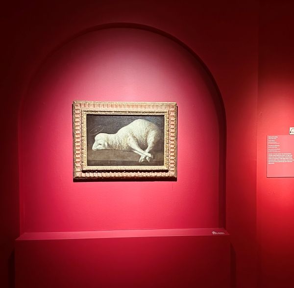 ▲ 프란시스코 데 수르바란, 하느님의 어린 양 / 사진: 강다연 제공