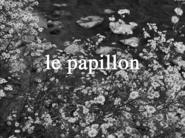▲ 고대영, 파피용(Le Papillon), 2025, 단채널비디오, 사운드, 컬러, 16분 16초 / 사진: 작가 제공