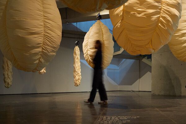 ▲ 정찬민, 행동부피 Mass Action, 2023, polyurethane, fan motor, motor control unit, steel support, etc, 250×90×90cm, each(8pieces) / 사진: 아트센터 화이트블럭 제공&nbsp;