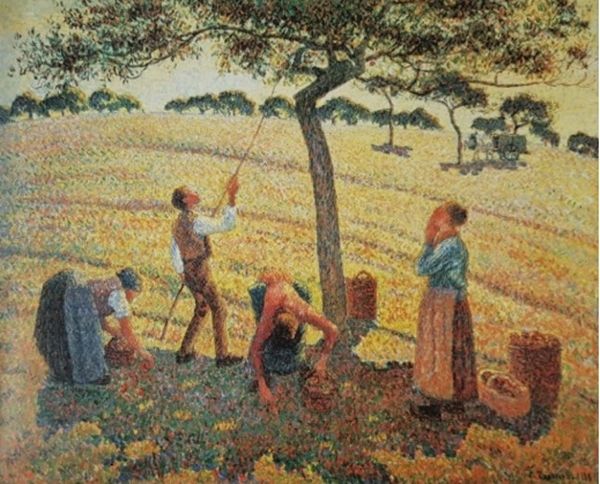 ▲ 사과 따는 사람들