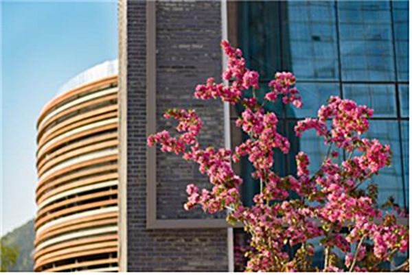 ▲ 서울공예박물관에 핀 봄꽃나무 / 사진: 서울공예박물관 제공