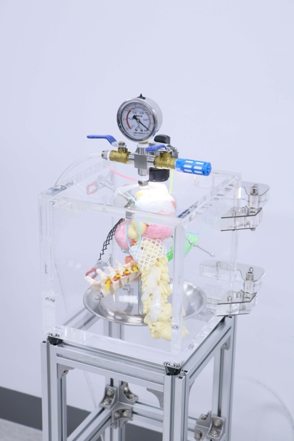 ▲ '사유를 연기하는 조각', 25×25×115(H)cm, Silicone, Screw, Ladoll, Polyurethane Foam, Plastic, Mixed media, Vacuum chamber 2025 / 사진: 포네티브스페이스 제공