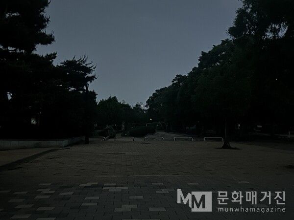 ▲ 새벽 2시 공원을 걷다 촬영한 이미지. 사진은 밝게 나왔다 / 사진: 구씨 제공