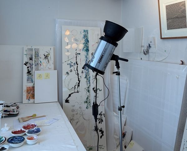 ▲ 고민과는 달리 착실히 작품을 촬영하고 자료를 정리하려 노력한다. 언제 어떤 기회가 올지 모르니, 바로 제출할 수 있는 고화질 이미지와 프로필을 정리해 놔야 한다 / 사진: 유정 제공&nbsp;