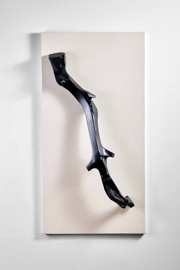 ▲ Procrustean pruning, 감귤나무 Citrus reticulata, 캔버스천, 합판, 2024 / 사진: 갤러리은 제공&nbsp;