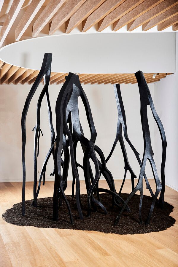 ▲ 숲 &nbsp;홀로 서는 사람들, 느티나무, 엄나무 등 가변설치, 2024 / 사진: 갤러리은 제공&nbsp;