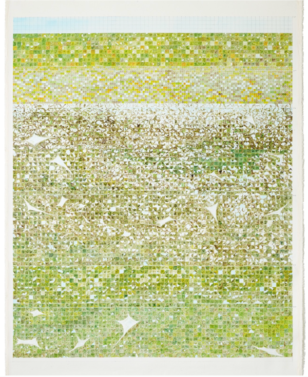 ▲ 호두나무 August to Septembe_박형진 / 사진:&nbsp;예술공간 [:틈] 제공&nbsp;