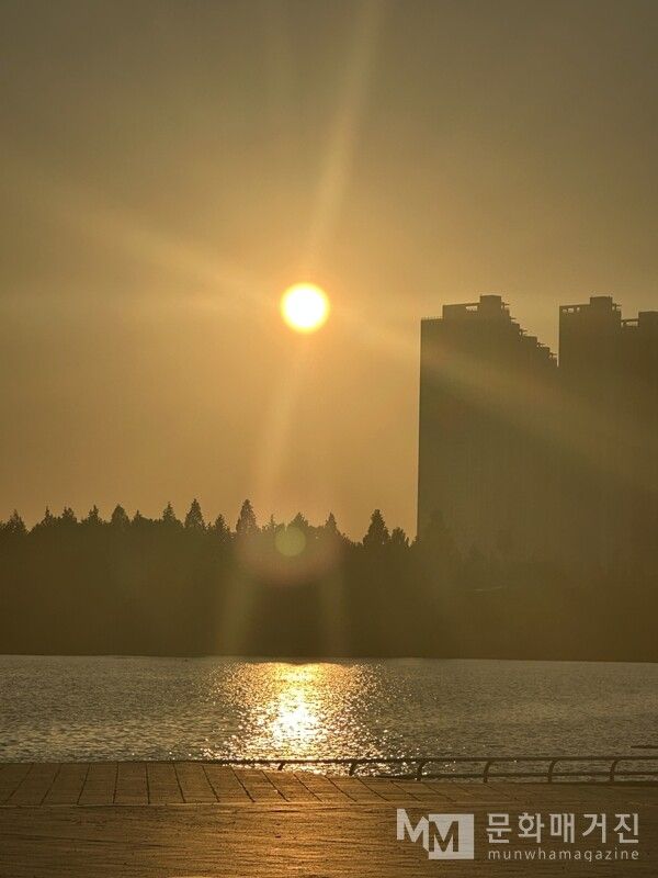 ▲ 작업실에서 나와 촬영한 밝은 태양의 이미지 / 사진: 구씨 제공