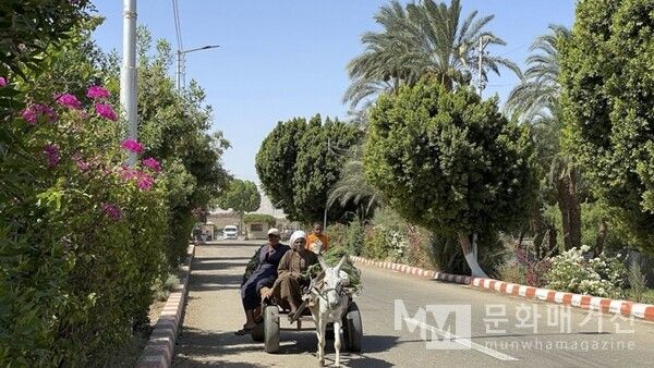 ▲ 이집트 Quna주 농촌. 꽃과 나무가 늘어선 길 위로 당나귀 수레와 농부, 아이가 지나가며 농촌의 일상을 보여준다 / 사진: 한민광 제공