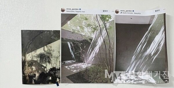 ▲ 공간을 생각하며 스크랩한 사진. 초록과 빛과 그림자가 조화로운 공간을 바래 왔다 / 사진: 유정 제공