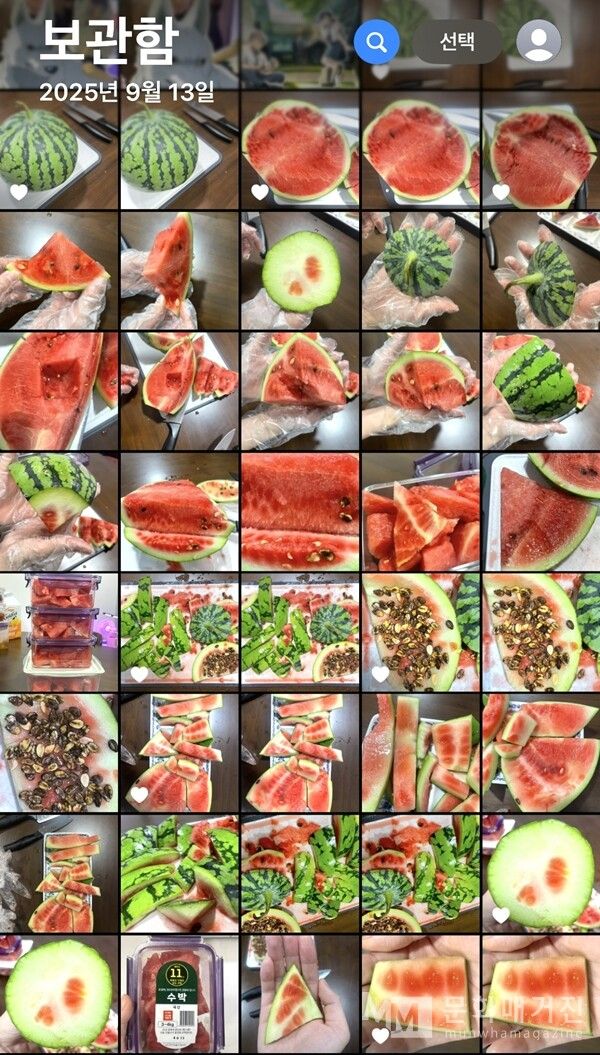 ▲ 수박을 분해하며 찍은 이미지 / 사진: 벼내림 제공