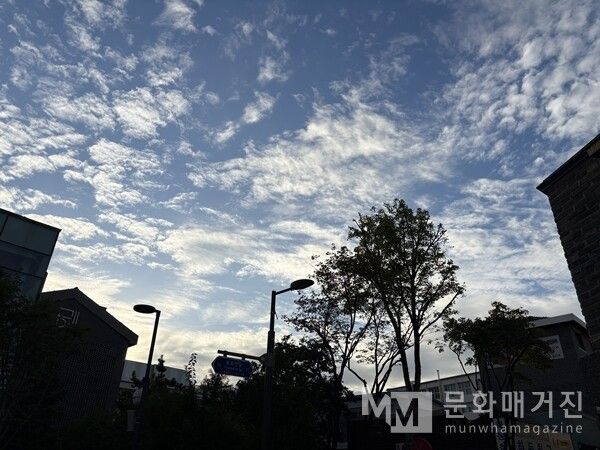 ▲ 노동 후의 허기를 느끼며 버스를 기다렸다. 가을이 되어 가던 차라 하늘이 높아졌다/ 사진: 유정 제공