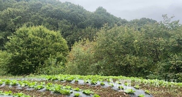 ▲ 리서치를 하며 보게 된 새로운 풍경. 일상에서 벗어나 새로운 것을 접한다는 게 피부로 와 닿았던 하루 / 사진: 구씨 제공