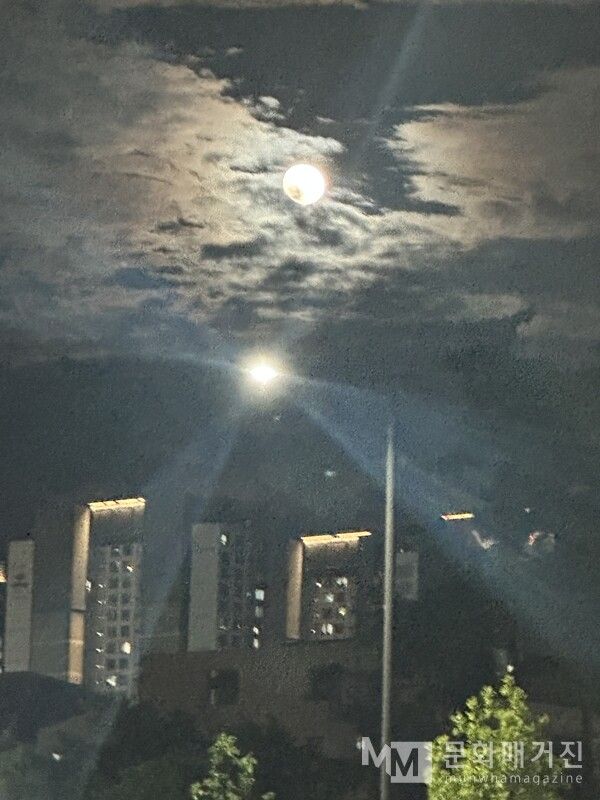 ▲ 가로등과 비슷한 동그란 달. 실제로는 달이 가로등보다 더 예쁘고 밝았지만 핸드폰에는 다르게 담겼다 / 사진: 구씨 제공