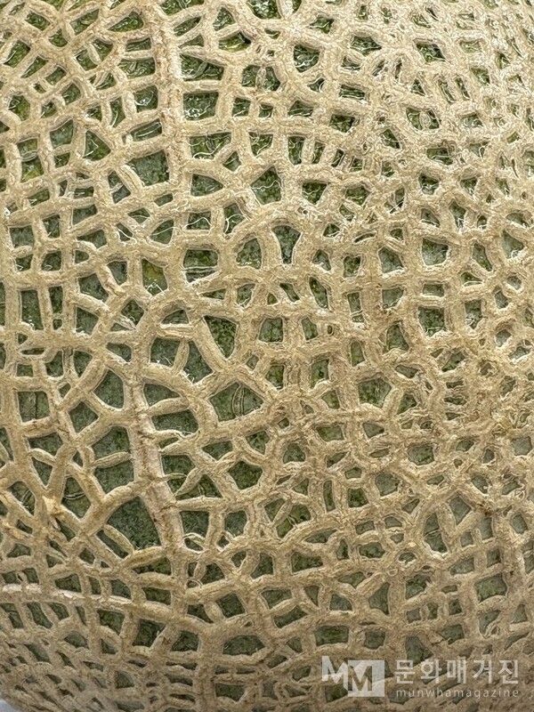 ▲ 선물로 메론 한 덩이를 들고 갔는데, 그 표면이 기이하여 찍어 두었다. 다시 보니 그날의 내 감정선을 똑닮은 것이 재밌다. '요동치나 뻗치지 말 것.' / 사진: 유정 제공