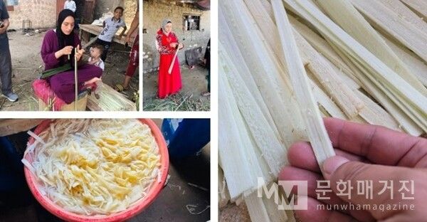 ▲ 잘라낸 파피루스 줄기를 얇게 벗겨 물에 담그는 과정이 이어진다. 이 섬유들은 건조 과정을 거쳐 고대 방식의 파피루스 종이로 다시 태어난다 / 사진: 한민광 제공