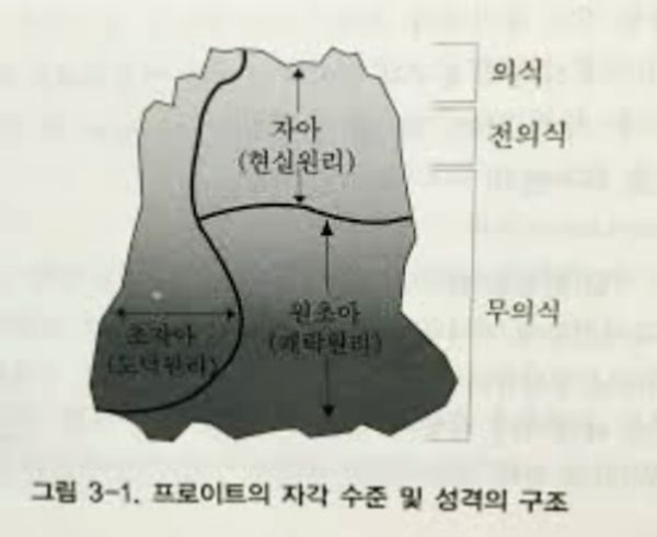 ▲ 사진: 전세윤 제공