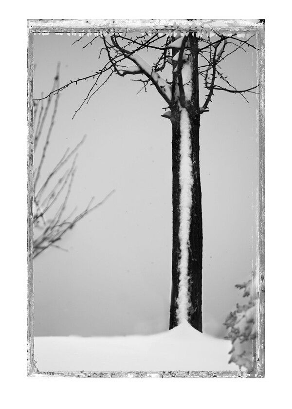 ▲ THE ONE AND ONLY DAY THE SNOW STAYED 2010 / 사진: 토포하우스 제공&nbsp;