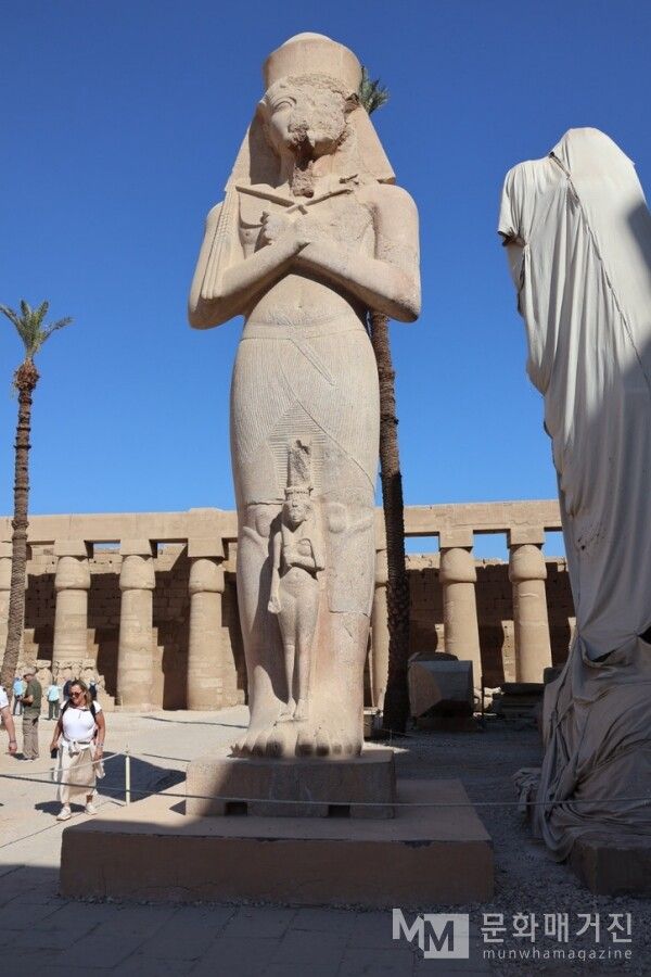 ▲ 거대한 파라오 석상의 발치에 왕비가 함께 조각된 모습. 이는 강력한 통치자의 곁을 지키는 배우자의 존재감을 드러내며, 당시 왕실 여성이 지녔던 당당한 위상을 상징적으로 보여준다 / 사진: 한민광 제공