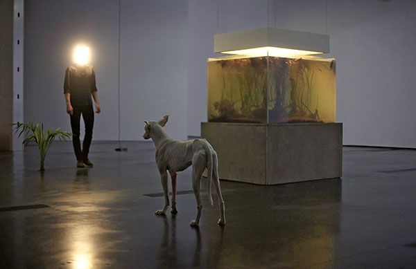 ▲ Retrospective exhibition views, Los Angeles County Museum of Art, Los Angeles, Noverber 2014-February 2015, Pierre Huyghe, Photo : Ola Rindal