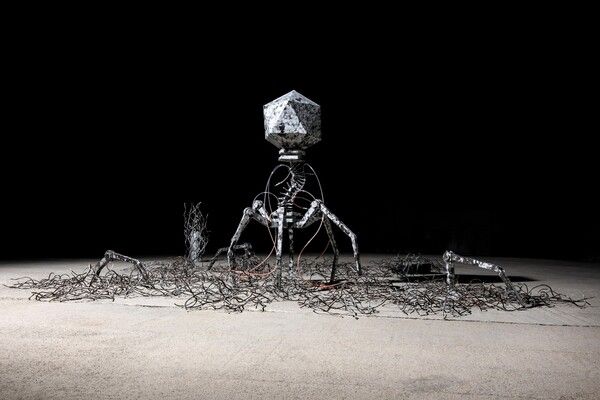 ▲ 서로 다른 조건과 존재 / 사진: WWW SPACE2 제공&nbsp;