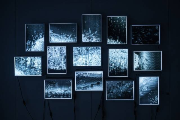 ▲ 김진영(영남대학교), 천태만상, 2025, ohp필름, 라이트박스, 210x150cm / 사진:&nbsp; 어울아트센터 제공&nbsp;