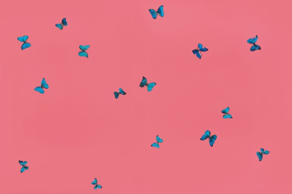 ▲ 데미안 허스트 'The Cauldron of Morning' / 사진: 서울옥션 제공