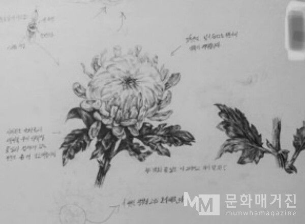 ▲ 생각해보니 죽음과 관련된 라틴어들이라 바니타스를 그렸던 것을 찾다가 장례식장에 놓는 국화까지 그렸던 사진을 갤러리에서 주웠다 / 사진: 전세윤 제공