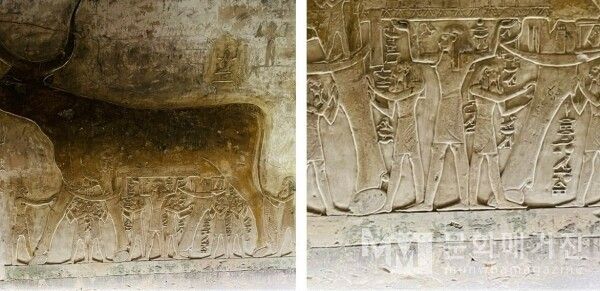 ▲ 하토르의 소가 그려진 벽면의 모습. 부드러운 곡선으로 표현된 소의 형상은 무덤 내부에 포근하고 따뜻한 분위기를 더해준다 / 사진: 한민광 제공