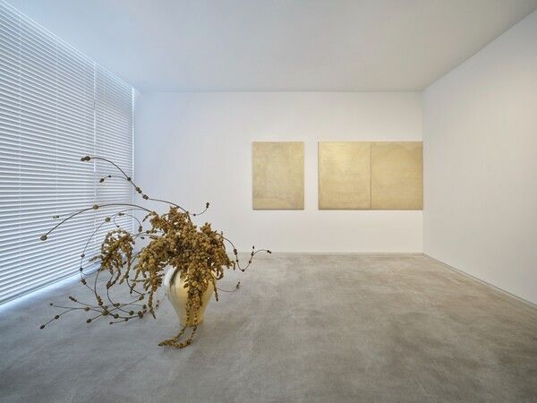 ▲ 전시 전경 / 사진: 뉴스프링프로젝트 제공&nbsp;