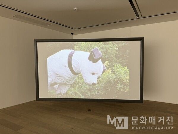 ▲ 전시 전경 / 사진: 정서원 제공