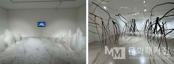 ▲ 전시 관련 이미지 / 사진: 정혜련 제공