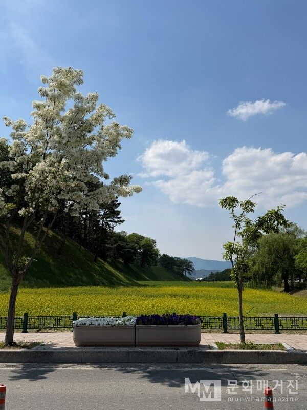 ▲ 경주 산책 / 사진: 정서원 제공