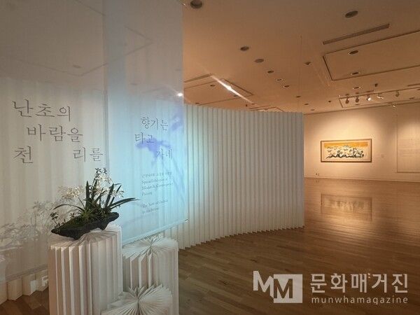▲ 전시 관련 이미지 / 사진: 정혜련 제공