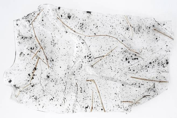 ▲ 필로그라프 Philograph no.33, 21x29.7cm, Resin, Soil amp; Plants from Doekcheon-ri, 2025 / 사진: 포항문화재단 제공&nbsp;