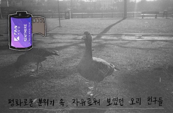 ▲ 켄트미어 흑백 필름2 / 사진: 벼내림 제공