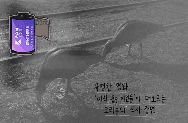 켄트미어 흑백 필름3 / 사진: 벼내림 제공