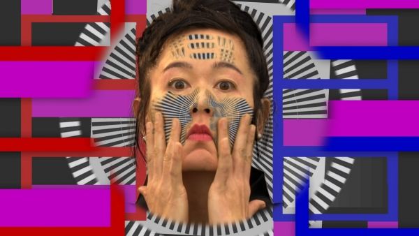 ▲ 히토 슈타이얼, 2013년 대표작 'How Not to be Seen: A Fucking Didactic Educational .MOV File' 스틸