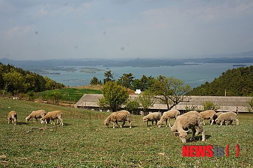 사진=뉴시스 제공.