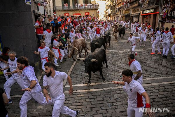 사진=뉴시스 제공.