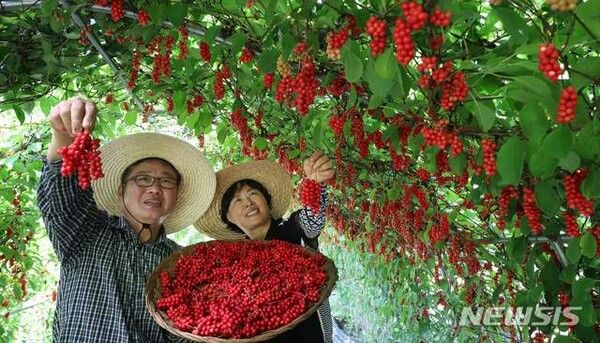 사진=뉴시스 제공.