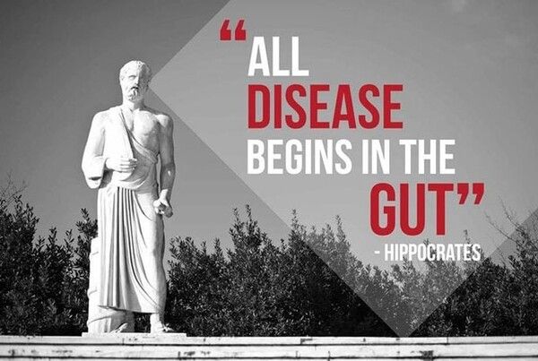 사진=두두바이오 제공.