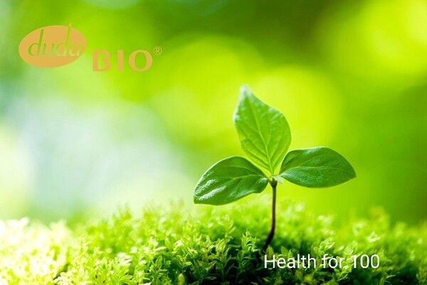 사진=두두바이오 제공.