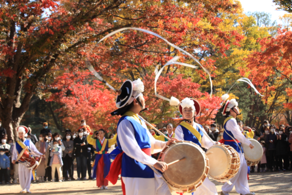 사진=남이섬 제공.