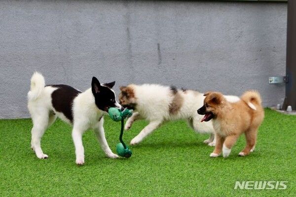 사진=뉴시스 제공.