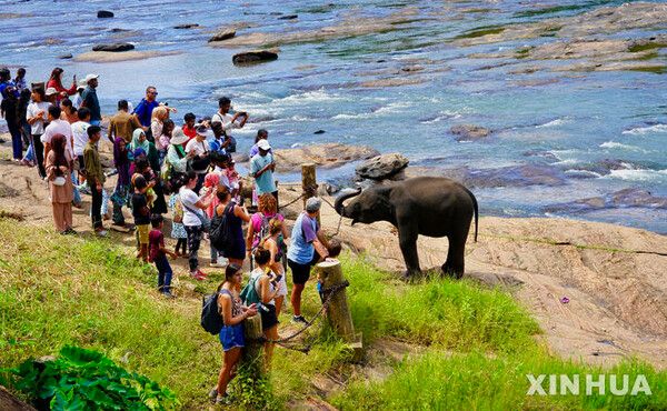 사진=뉴시스 제공.