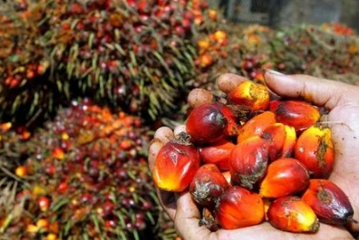 사진=뉴시스 제공.